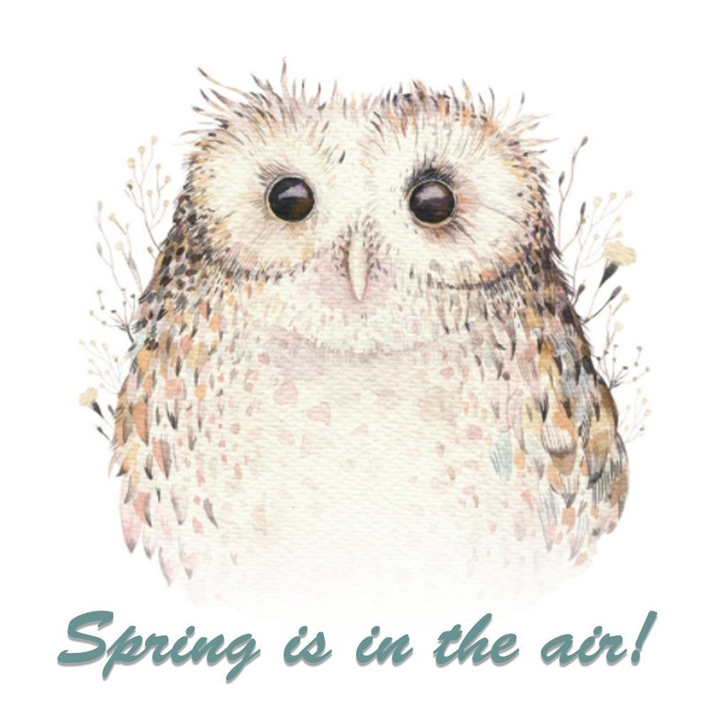 Spring is in the air!